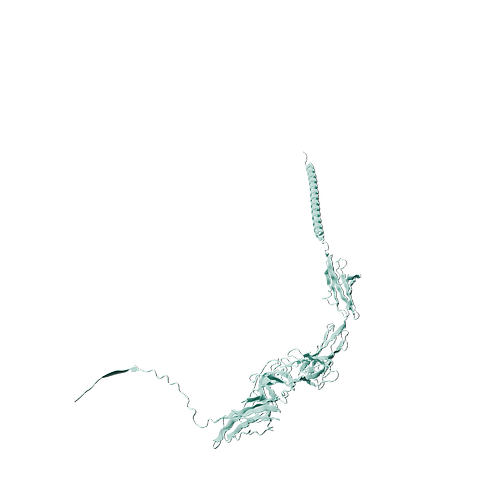 Mouse ICAM-1 (C-6His, HEK293)